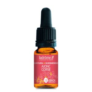 Fleur de Bach n°13 AJONC (Gorse) • 10 ml