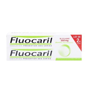Fluocaril Bi-Fluoré 250 mg Menthe | Pâte Dentifrice Anticaries | 2 × 125 ml