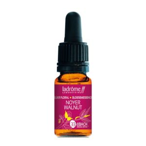 Fleur de Bach n°33 • NOYER • 10 ml