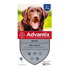 Advantix Grand Chien Pipe4ml6