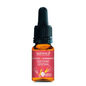 Fleur de Bach n°12 GENTIANE • 10 ml