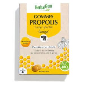 Herbalgem Propolis Jun Bio Gom
