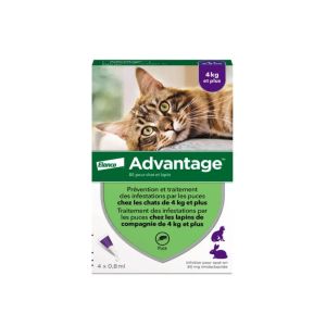 Anti-puce Advantage-80 Chat et Lapin plus de 4 kg