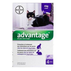 Advantage-80 Chat/lapin Pipet