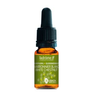 Ladrome Elixir Marronn Blanc 10Ml