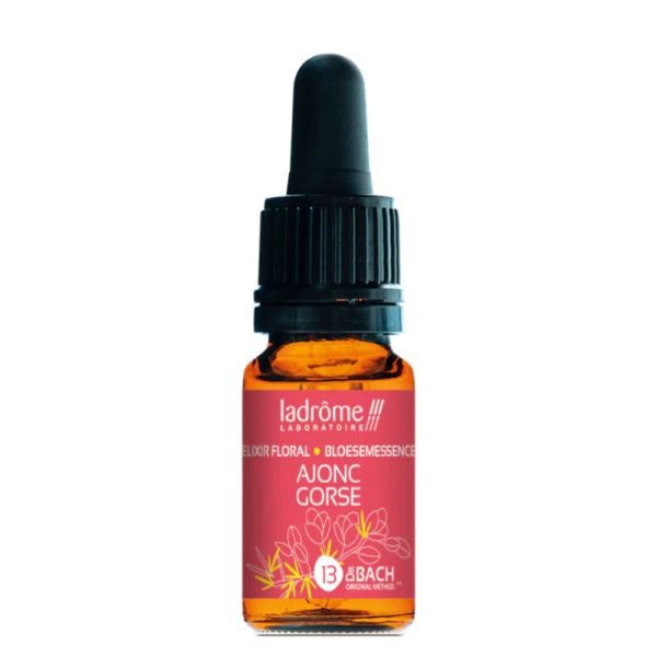 Fleur de Bach n°13 AJONC (Gorse) • 10 ml