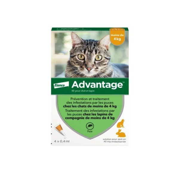 Anti-puce Advantage-40 Chat et Lapin moins de 4 kg