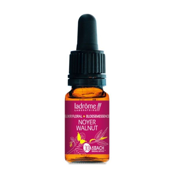 Fleur de Bach n°33 • NOYER • 10 ml