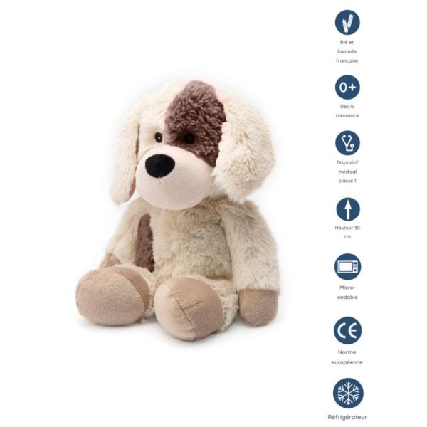 Peluche bouillotte warmies chien pour enfants - SOFRAMAR