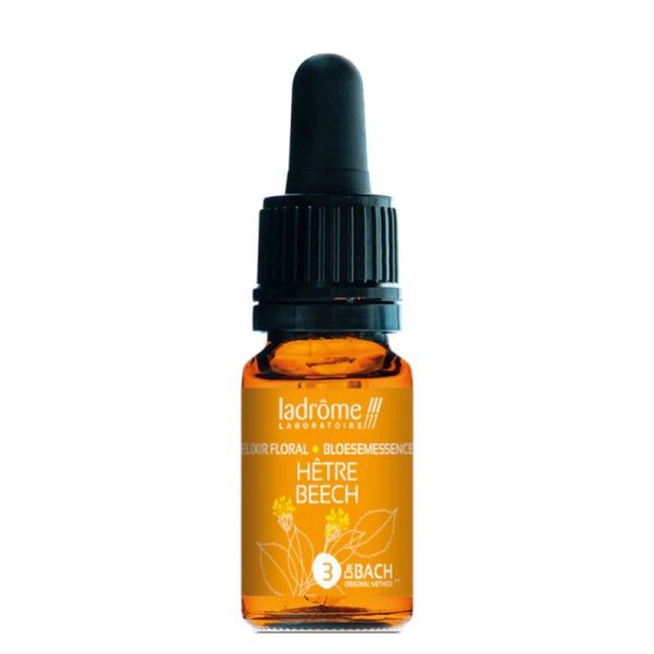 Fleur de Bach Hêtre