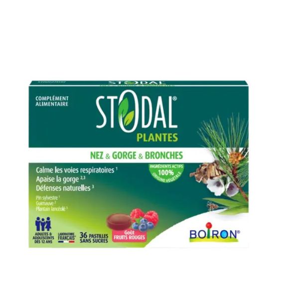 Stodal Plantes® Pastilles Nez & Gorge & Bronches | 36 pastilles